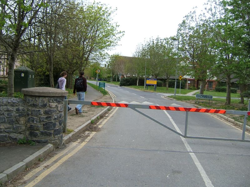 dscf2401.jpg (large)