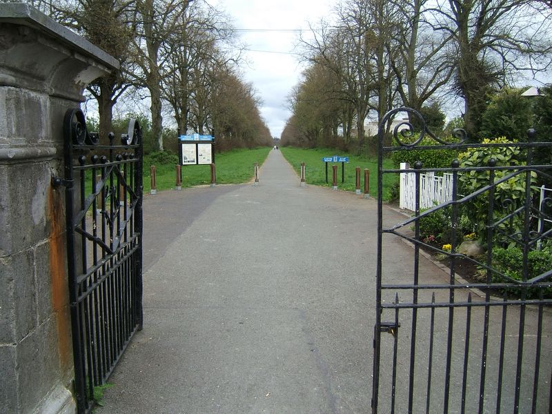 dscf2418.jpg (large)