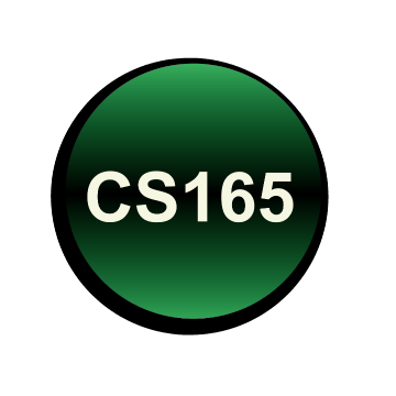 CS 165