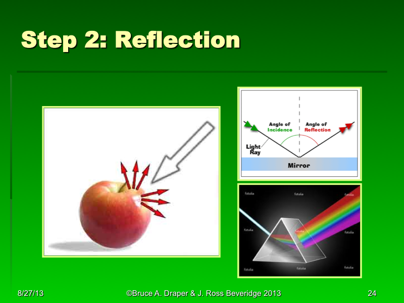 PowerPoint Slide 24