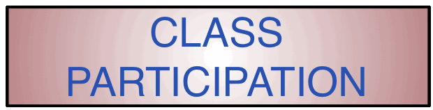 Class Participation