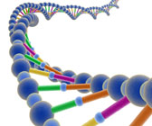 Bioinformatics Algorithms