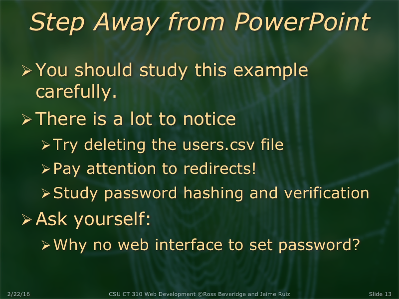 PowerPoint Slide 13